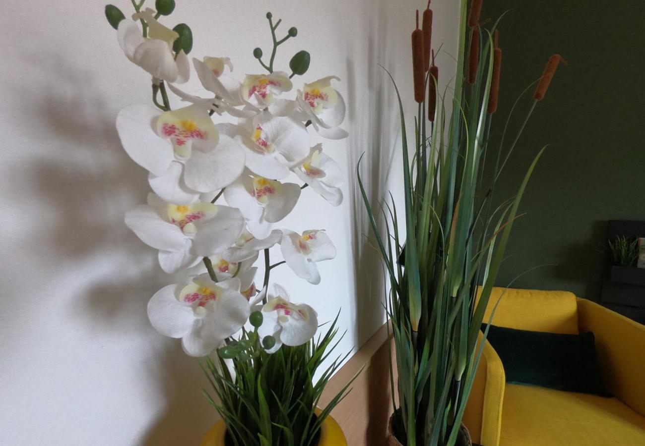 Casa Vacanze Ada ラグーザ エクステリア 写真